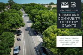 USDA Forest Service, Urban and Community Forestry Grants graphic. Subtext reads "July 2023 was the hottest month on record globally. Trees offer a simple, but powerful solution."