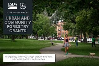 USDA Forest Service, Urban and Community Forestry Grants graphic showing an urban neighborhood park and people enjoying themselves. Subtext reads "An expanded urban tree canopy offers communities relief in the shade from extreme heat."