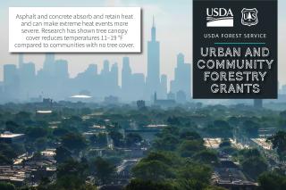USDA Forest Service, Urban and Community Forestry Grants graphic showing an urban neighborhood with skyscrapers in the far background. Subtext reads "Asphalt and concrete absorb and retain heat and can make extreme heat events more severe. Research has shown tree canopy cover reduces temperatures 11-19 degrees Fahrenheit compared to communities with no tree cover."