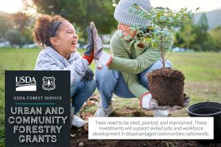 USDA Forest Service, Urban and Community Forestry Grants graphic showing a woman and a young girl giving each other a high five while planting a tree in the ground from a pot. Subtext reads "Trees need to be sited, planted, and maintained. These investments will support skilled jobs and workforce development in disadvantaged communities nationwide."