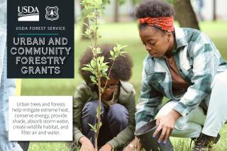 USDA Forest Service, Urban and Community Forestry Grants graphic showing two girls planting a tree. Subtext reads "Urban trees and forests help mitigate extreme heat, conserve energy, provide shade, absorb storm water, create wildlife habitat, and filter air and water."