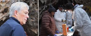 Two images - on the left, a photo of Tonie Rocke facing slightly away from the camera.  On the right, people wearing personal protective clothing and equipment, standing on both sides of a table working on scientific data gathering tasks.