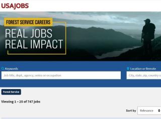 USAjobs website preview
