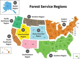 map of forest service regions