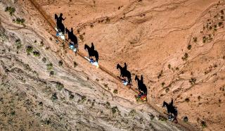 A line of six riders on horseback, photographed from above looking straight down, with their silhouettes reflected on the rocky, brown/orange ground, spotted with small green bushes below their feet.