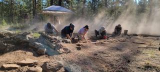 A group of people digging in the earth.