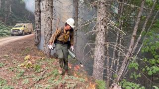 Person in hard hat with ax in one hand, using a drip torch to ignite a controlled burn along tree line.