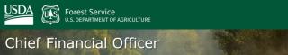 Banner with USDA and Forest Service logos. Text: Chief Financial Officer.