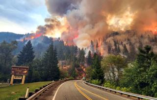 Billowing smoke over a fiery forest with road leading in.