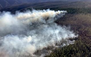 Aerial view of billowing smoke over a heavily forested area.