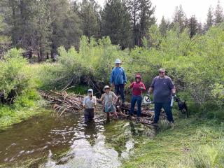 A group of people stand within a stream next to a pile of logs and branches.