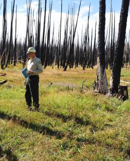 Man wearing a hard hat and uniform stands in grass with burned trees in the background.