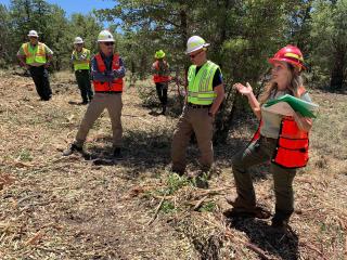 A team of people in safety vests and hardhats stand in a forest clearing discussing a project.