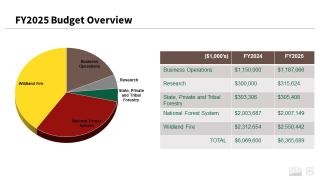 Pie chart & table of FY2025 budget overview. Pie chart shows deputy area & fire apportionment. Table shows money for FY 24 & FY 25 in $1000s, meaning $1 million is $1 billion. Business Operations: $1,150,000, $1,187,066; R&D: $300,000, $315,624; SPTF: $303,306, $305,408; NFS: $2,003,687, $2,007,149; wildland fire: $2,312,654, $2,550,442; total: $6,069,600, $6,365,689.