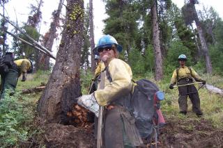 A group of male and female wildland firefighters in the woods.