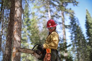 A person in protective gear examines their chainsaw in the forest.