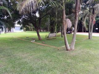 A grassy area just off a parking lot with a bench and trees. A portion is taped off to create a mock crime scene.