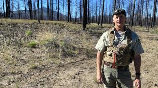 A man wearing a vest and green trousers stands in front of a backdrop of leafless trees.