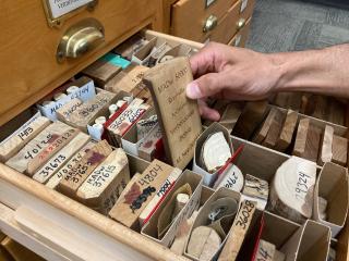 A hand opened a drawer full with small wood cuts. The hand is holding one of the pieces of wood form said drawer