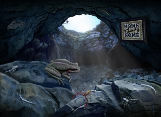 Illustration of a cave with insects, a frog, bats and a sign that reads “home sweet home”.