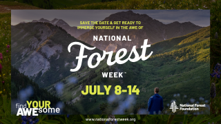 Graphic shows a man standing in front of a large group of mountains: Save the date and get ready to immerse yourself in the awe of National Forest Week, July 8-14, Find your Awesome, National Forest Foundation.