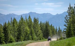 Two all-terrain-vehicles being driven down a dirt road in a forest.