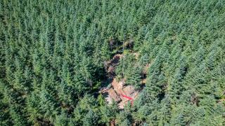 An aerial view of a logging equipment in a small clearing of a dense evergreen forest.