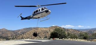 Helicopter just above pavement with water container dangling below.