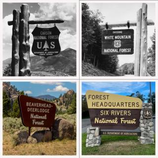 Image is a collage of various iconic National Forest signs.