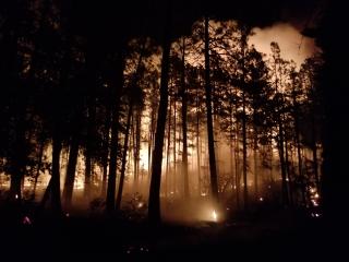 Image shows a wildfire in the Prescott National Forest.