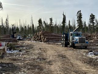 Stinger-steered logging truck conducts salvage harvest operations on Rio Grande National Forest.