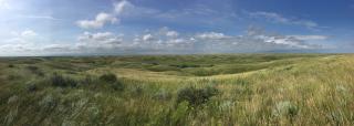 Panoramic view of a national grassland