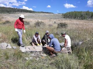 A group of people build a small stone structure in a grassy meadow.