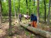 A picture of a trails crew with a chainsaw preparing to cut a downed log.