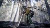 A picture of a wildland firefighter using a water hose to spray hot areas on the Caldor fire.