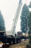 A picture of a large crane standing up the cut Capitol Christmas Tree.