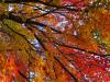 Fall colors leaves