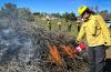 Wildland firefighter igniting a pile of brush with a drip torch as other firefighters stand in the background