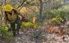 Image shows a wildland firefighter in safety gear and helmet dripping fire onto vegetation to continue a prescribed fire.