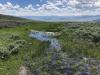 Image shows a small pond developing behind a stone structure built across a prairie.