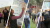 Image shows a collage of four photographs. The left-most shows two people walking towards a car with a hill in the background, the second from the left shows a woman marking on a map on a wall, the third from the left shows a man showing a group of people something in the undergrowth of a forest, and the fourth from the left shows a group of people standing around a table.