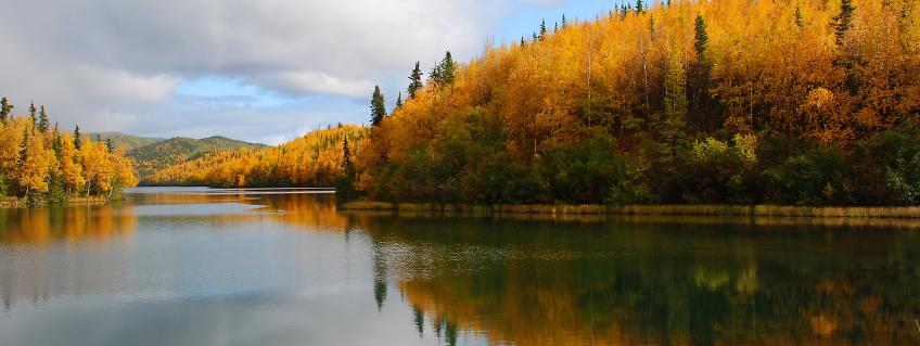 A calm lake bordered by a golden forest.