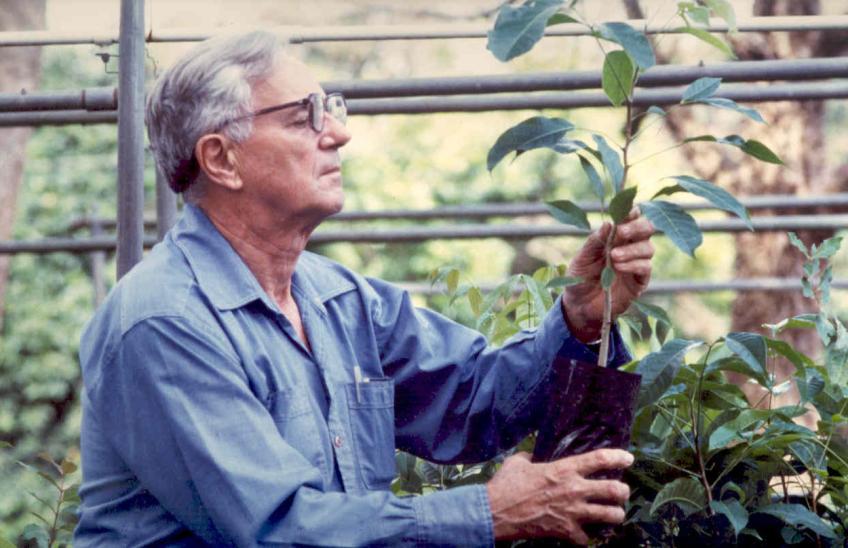 Older man with glasses holding a small tree.