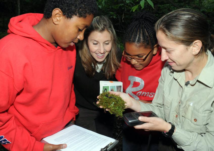 Young people & Forest Service employee examine a salamander held by employee and ID its species using field guide.