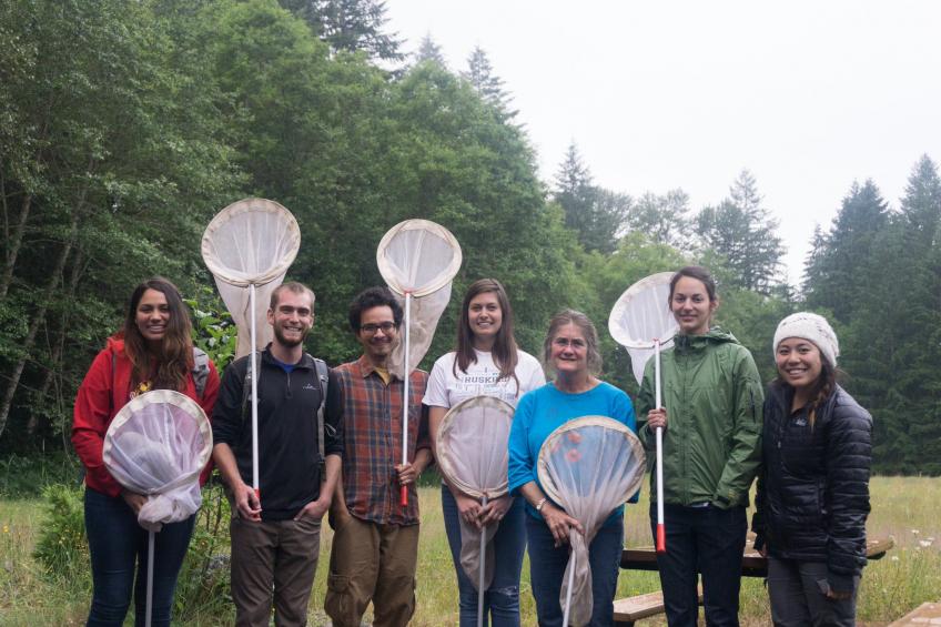 Butterfly group with nets