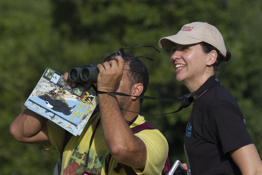 People watch birds with binoculars