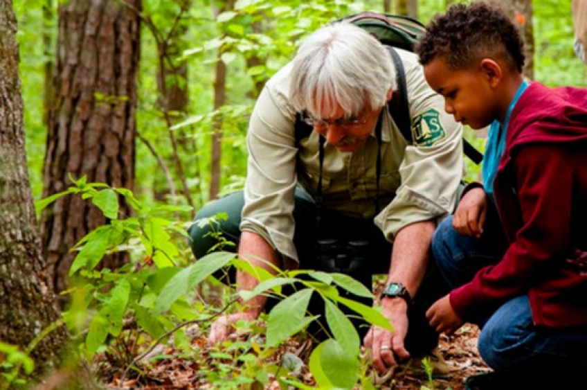 Citizen science picture