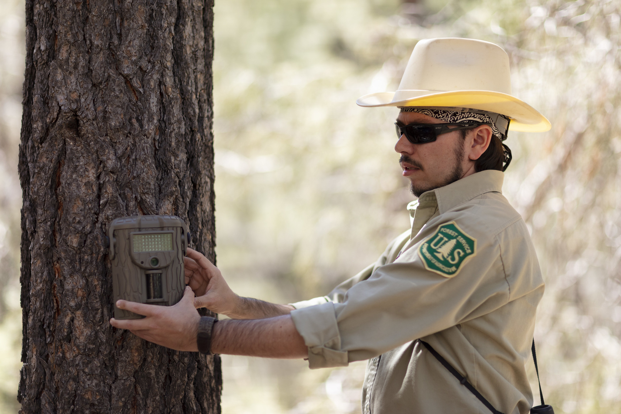 An employee holds a device on a tree to perform a test.