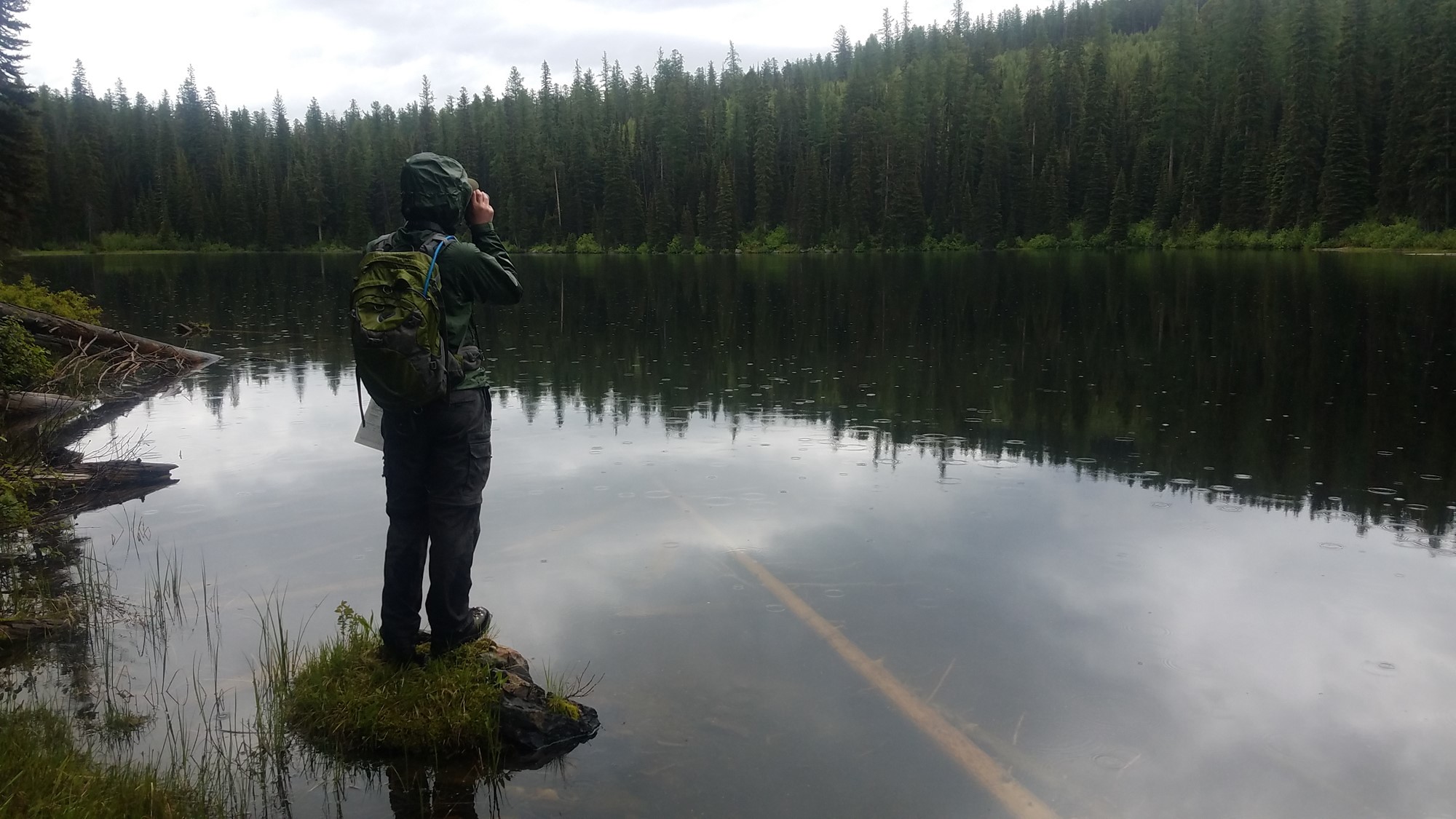 Employee surveys a lake in the forest.