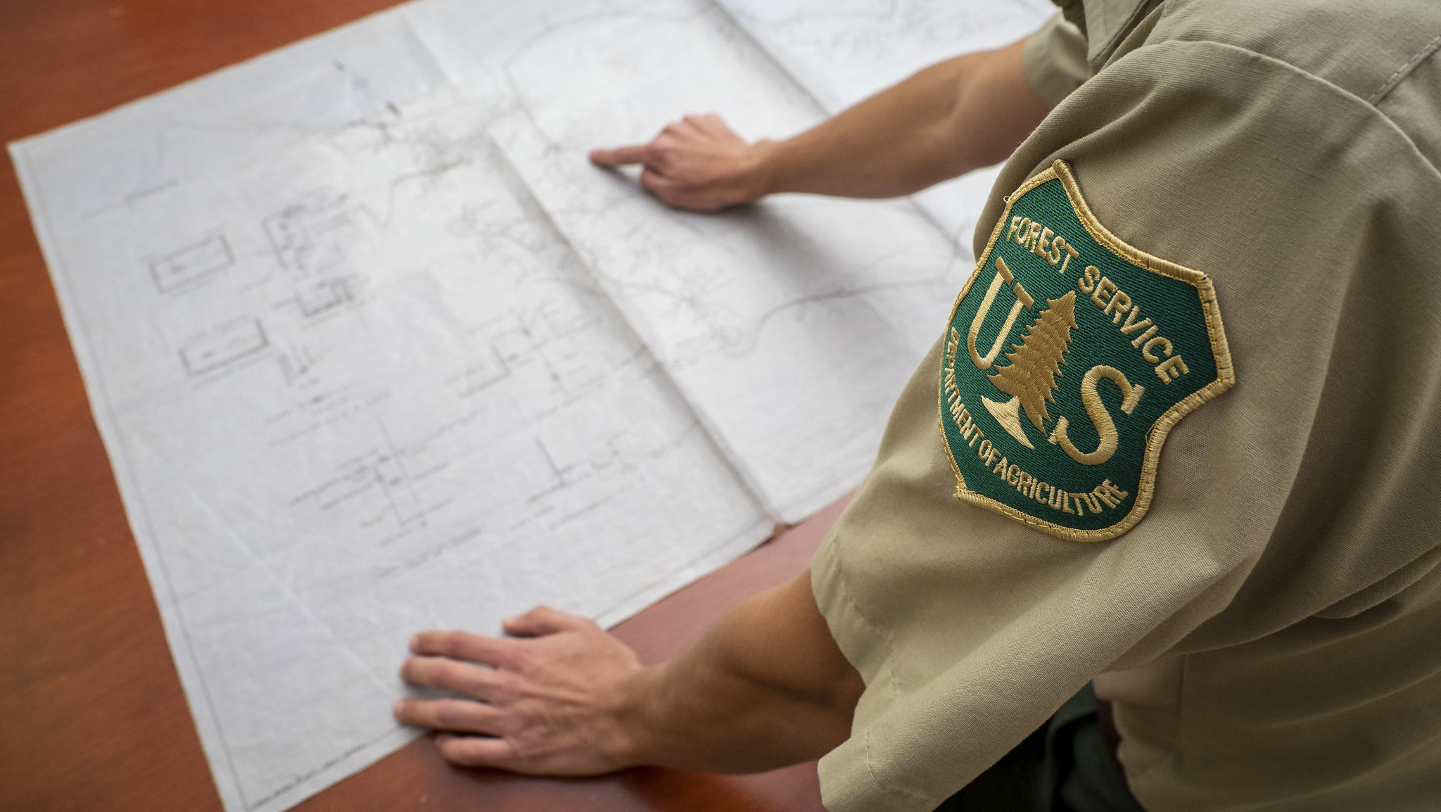 An employee in uniform reviews a blueprint.